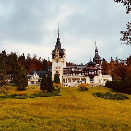 Wood Studio Синая Экстерьер фото