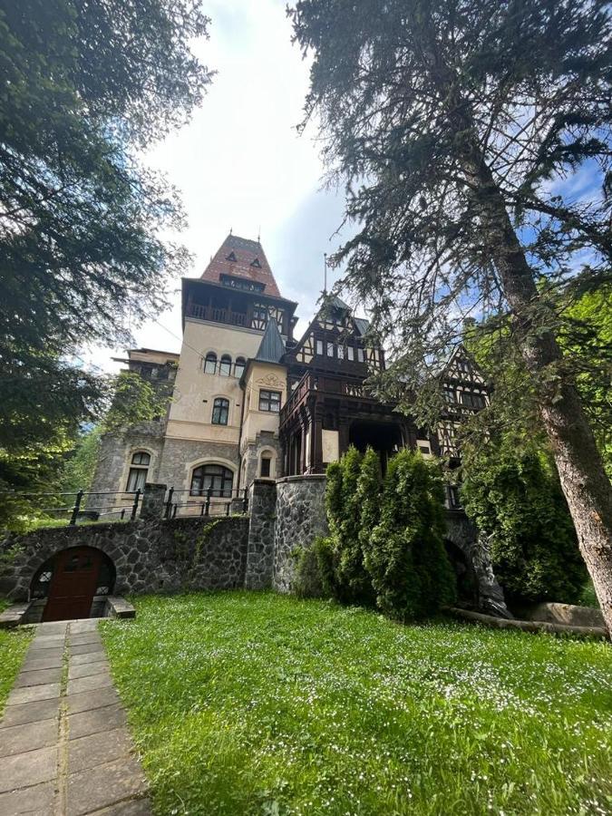 Wood Studio Синая Экстерьер фото