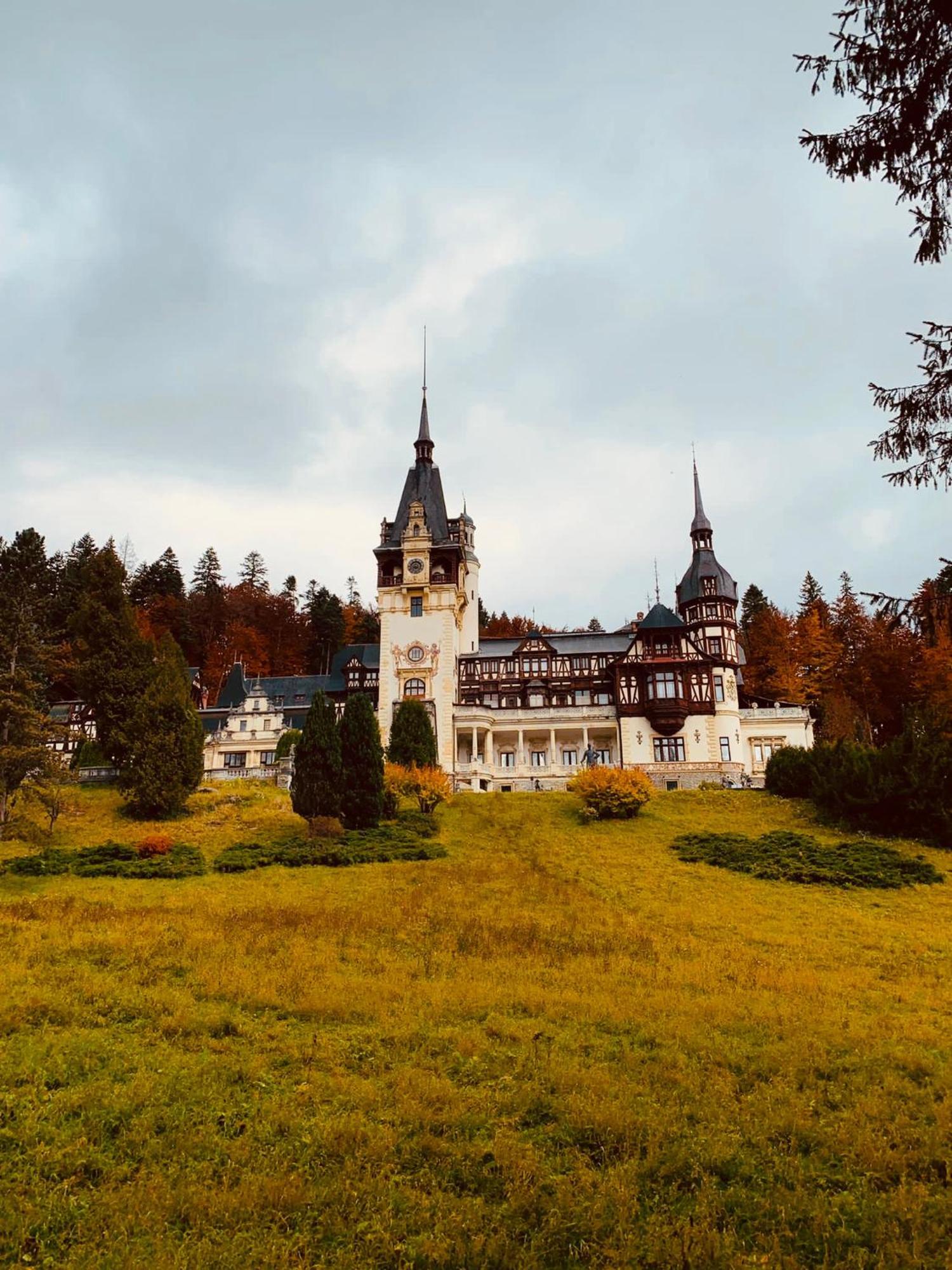 Wood Studio Синая Экстерьер фото